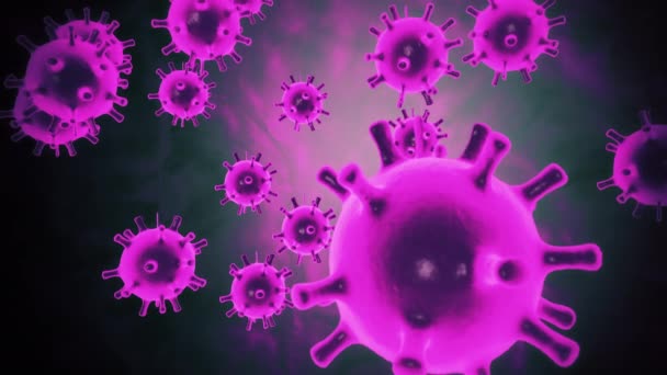 Wirus koronawiry19 czynnik zakaźny. Wirus koronawirusa 2019-nCov patogen wewnątrz ludzkiego ciała pokazany jako fioletowe komórki koloru poruszające się w czarnym tle przestrzeni. Animacja 3d renderowania pętli 4K video. — Wideo stockowe