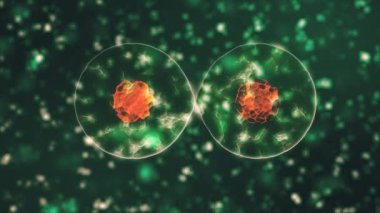 Siyah zemin üzerinde hareket eden kırmızı küresel mikroorganizmalar olarak gösterilen enfekte organizma içindeki koronavirüs 2019-nCoV hücrelerinin sanal animasyonlu temsili. Soyut 3D görüntüleme 4K video kapatma.
