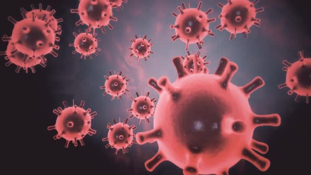 CGI imagery of the COVID-19 coronavirus also known as 2019-nCov and first reported in Wuhan, China. Bright red virus cells are floating in black space background. Abstract 3d rendering concept in 4K. — Stock Video