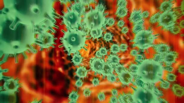 Geanimeerde 3D-model van coronavirus 2019-nCoV pathogeen cellen in besmet organisme weergegeven als paarse bolvormige micro-organismen bewegen op een zwarte achtergrond. Abstract 3d rendering close-up 4K video. — Stockvideo