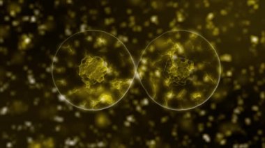 Siyah bir zemin üzerinde hareket eden yeşil küresel mikroorganizmalar olarak gösterilen enfekte organizma içindeki Coronavirus 2019 nCoV patojen hücrelerinin sanal animasyonlu temsili. 4K görüntüleme 3D soyut.