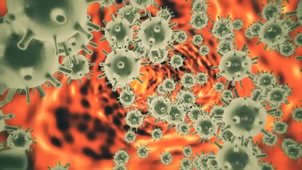 Virtuele geanimeerde weergave van coronavirus 2019-nCoV-cellen in geïnfecteerd organisme gedemonstreerd als rode bolvormige micro-organismen die bewegen op een zwarte achtergrond. Abstract 3d rendering close-up 4K video. — Stockvideo