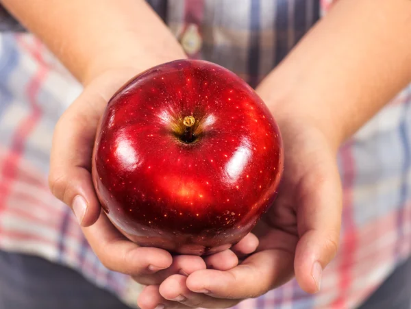 Rött äpple 4 — Stockfoto