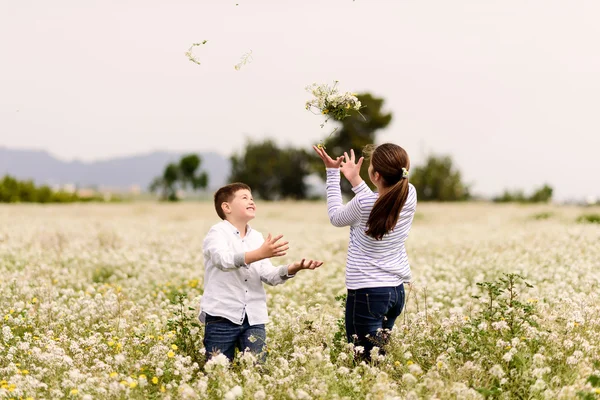 Playing among the flowers 17 — Stock Photo, Image