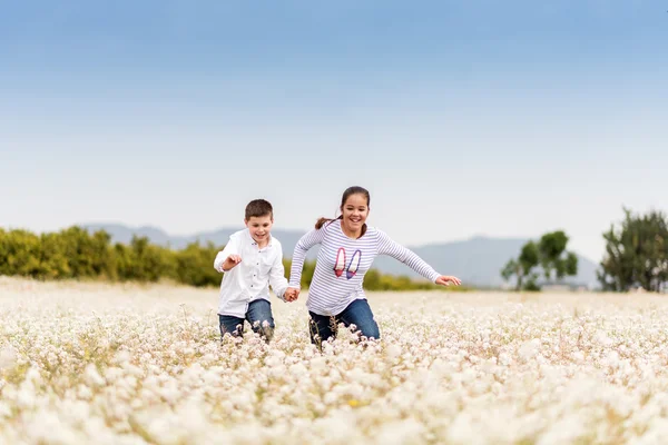 Playing among the flowers 12 — Stock Photo, Image