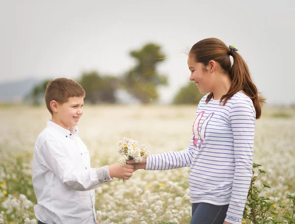 Playing among the flowers 15 — Stock Photo, Image