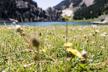 yüksek dağ manzarası