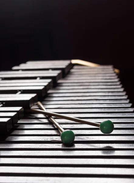 Xylophone with two mallets — Stock Photo, Image