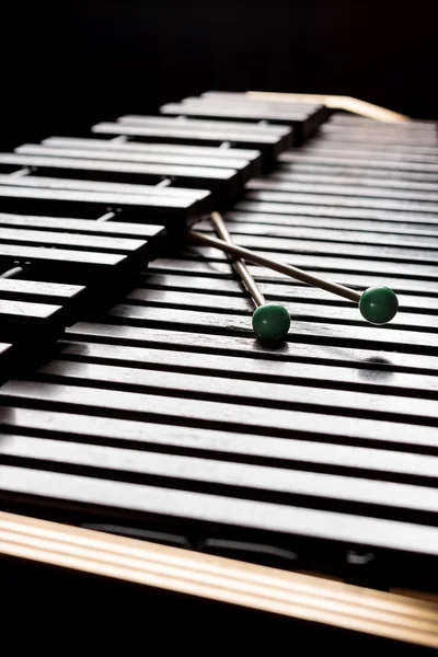 Xylophone avec deux maillets — Photo