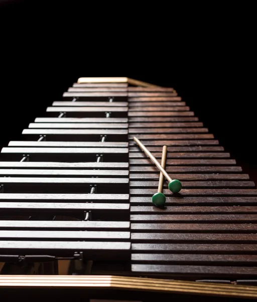 Xylophone with two mallets — Stock Photo, Image
