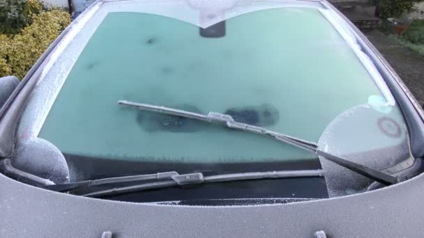 Soğuk araba ön cam — Stok video