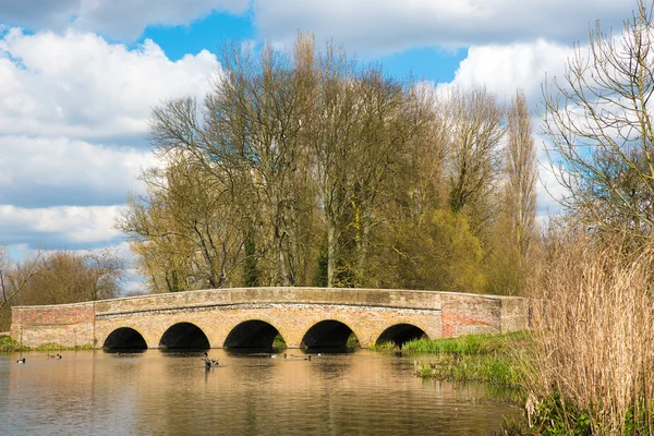 Five Arches Bridge — Stock Photo, Image