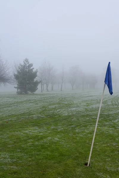 Terrain de golf givré — Photo