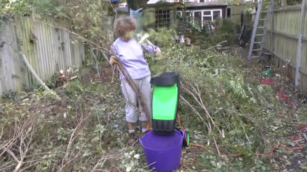 Woman shredding branches — Stock Video