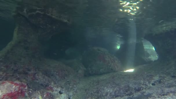 Unterwasserhöhle und Sonnenstrahlen — Stockvideo