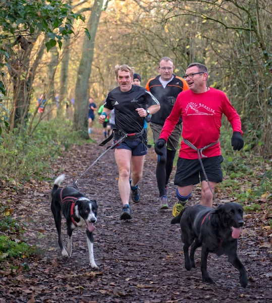 Runners and Dogs — Stock Photo, Image