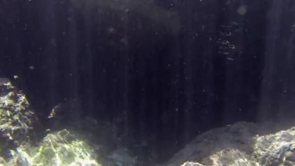 水中洞窟 — ストック動画