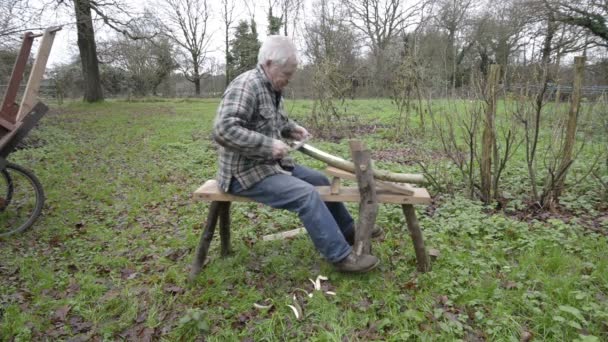 Wood worker — Stock Video