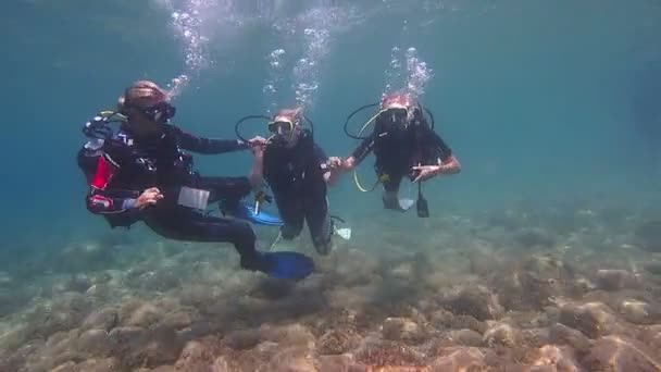 Learning to Scuba Dive — Stock Video