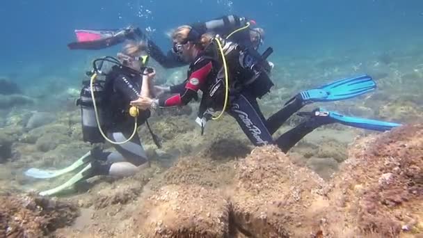 女性的水肺潜水 — 图库视频影像