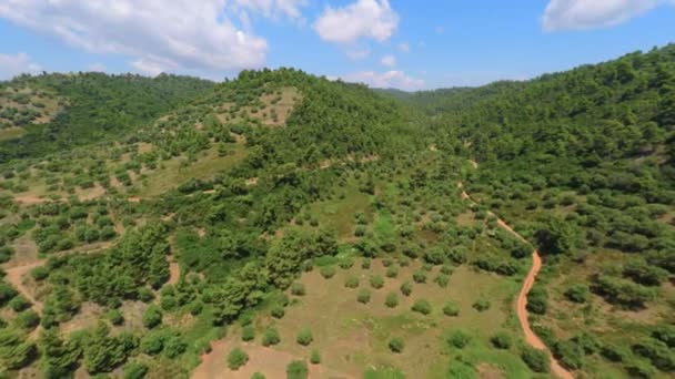 Vista do campo . — Vídeo de Stock