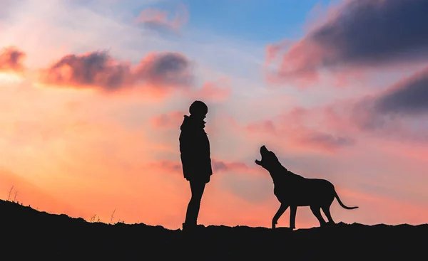 Girl Enjoying Sunset Her Beloved Pet — Stock Photo, Image