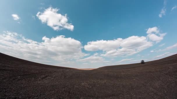 Nuages Rapides Sur Les Terres Agricoles Grand Champ Agricole Sans — Video