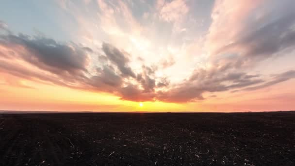 農業分野でのタイムラプスの夕日 雲は畑の上の太陽から移動します 多くの飛行雲と明るい飽和日没 — ストック動画