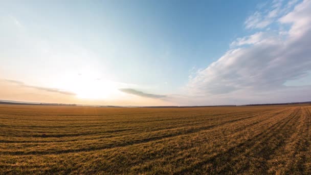 Velké Zemědělské Pole Před Západem Slunce Malými Pomalými Mraky — Stock video