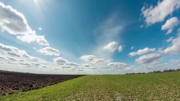 Campo Trigo Invierno Primavera Nubes Rápidas Sobre Tierras Agrícolas — Vídeos de Stock