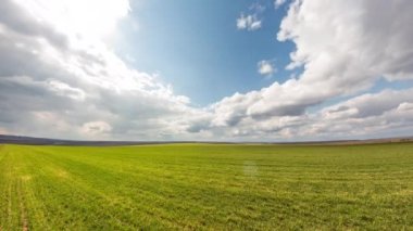 Baharda buğday tarlası. Tarım arazisi üzerinde hızlı bulutlar