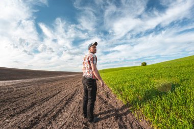Erkek bir tarımcı tarım alanındaki buğday ekinlerini inceliyor. Buğday tarlasında bir çiftçi gün batımında bir deftere notlar alır. Tahıl hasat verimi değerlendirmesi
