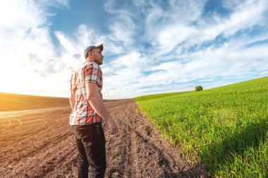 Erkek bir tarımcı tarım alanındaki buğday ekinlerini inceliyor. Buğday tarlasında bir çiftçi gün batımında bir deftere notlar alır. Tahıl hasat verimi değerlendirmesi