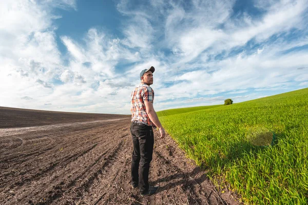 Erkek bir tarımcı tarım alanındaki buğday ekinlerini inceliyor. Buğday tarlasında bir çiftçi gün batımında bir deftere notlar alır. Tahıl hasat verimi değerlendirmesi