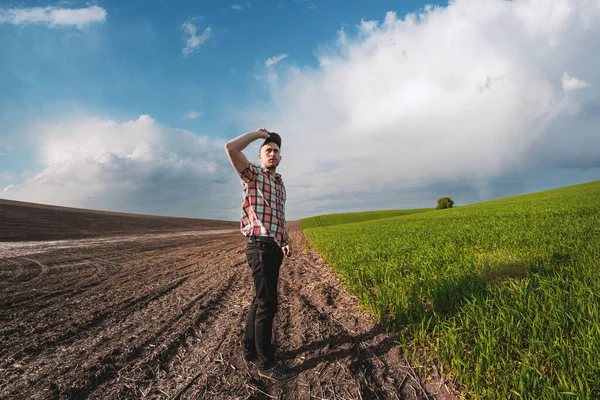 Erkek bir tarımcı tarım alanındaki buğday ekinlerini inceliyor. Buğday tarlasında bir çiftçi gün batımında bir deftere notlar alır. Tahıl hasat verimi değerlendirmesi