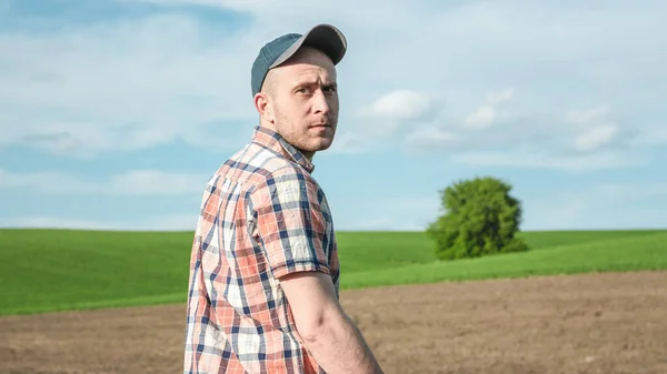 Tarım alanında buğday mahsullerini inceleyen bir erkek tarım uzmanının portresi. Buğday tarlasında çiftçi. Tahıl hasat verimi değerlendirmesi