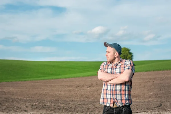 Erkek bir tarımcı tarım alanındaki buğday ekinlerini inceliyor. Buğday tarlasında bir çiftçi gün batımında bir deftere notlar alır. Tahıl hasat verimi değerlendirmesi