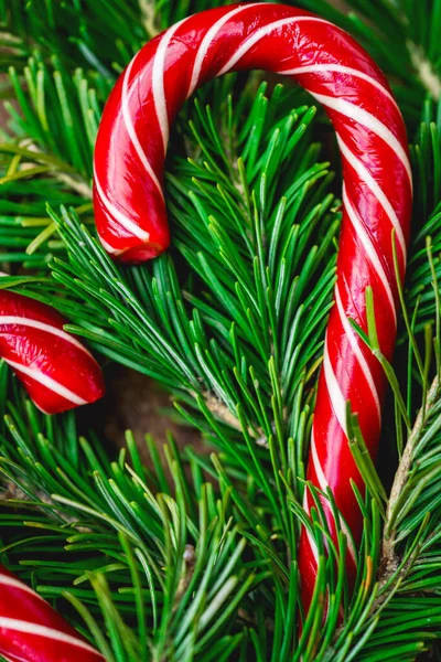 Vista Cercana Bastones Caramelo Ramas Abeto Fondo Navidad Con Espacio — Foto de Stock