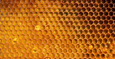 Altın bal dolu bir arı kovanından bal peteğinin arka plan dokusu ve deseni tam kare görüntüsü.