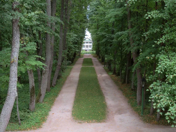 Montagne Pushkin Petrovskoe Tenuta Ancestrale Degli Antenati Pushkin Parco Esempio — Foto Stock