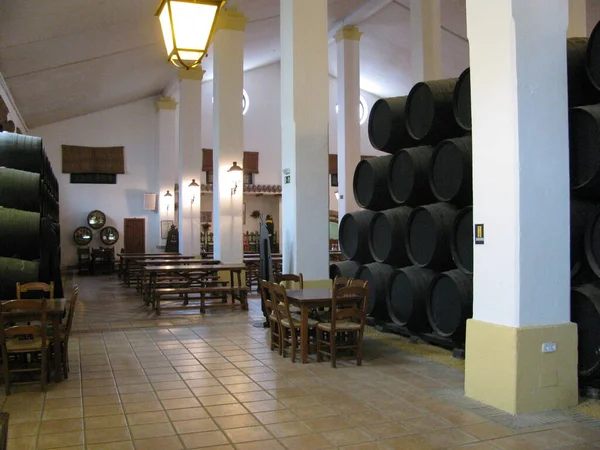 Hiszpanii Miasto Jerez Słynie Swoich Piwnic Winami Winami Przechowywanie Wina — Zdjęcie stockowe
