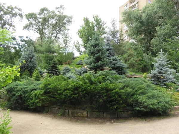 Mosca Orto Botanico Giardino Del Farmacista Belle Piante Paesaggio Meraviglioso — Foto Stock