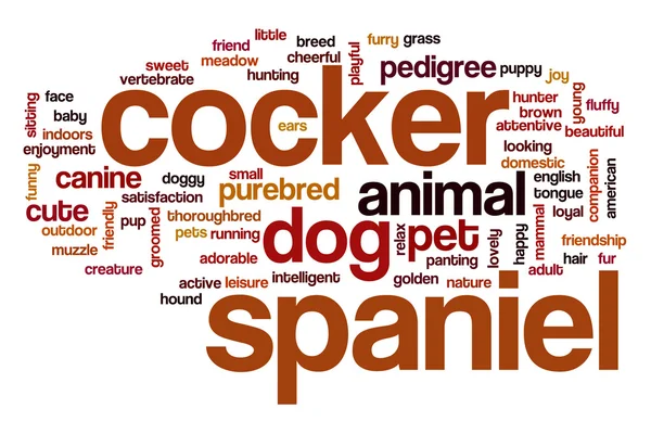 Cocker spaniel word cloud concept