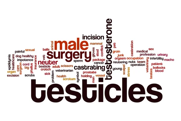Testicles word cloud concept