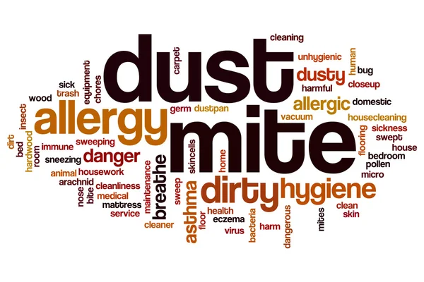 Dust mite word cloud