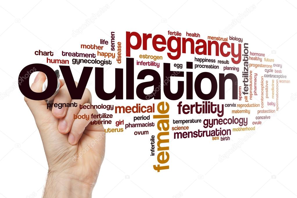 Ovulation word cloud Stock Photo by ©ibreakstock 123029986