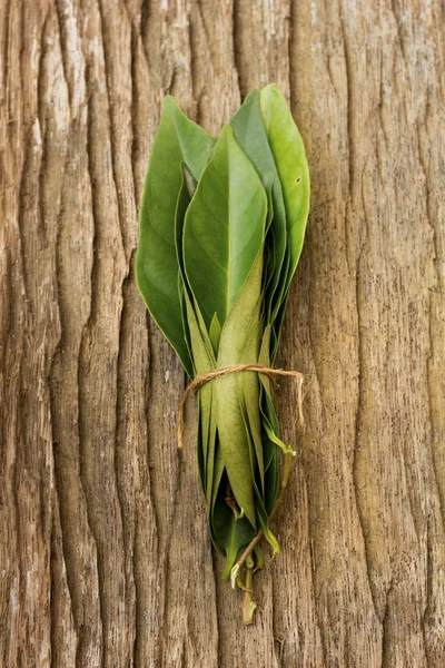 Hoja de Bahía de Indonesia también conocida como Daun Salam; archivo no afilado — Foto de Stock