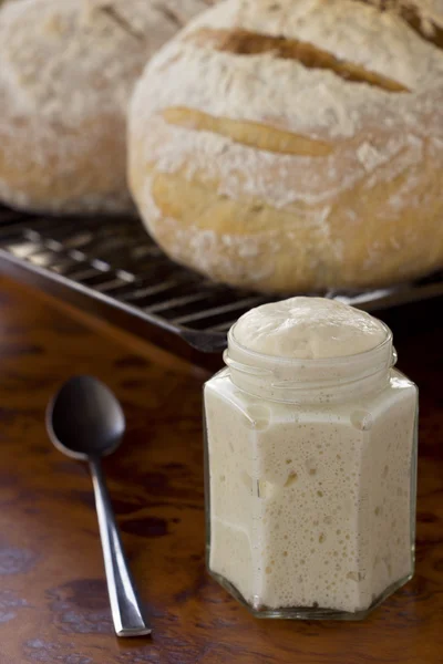 Sauerteigstarter gärt und beginnt zu reifen. Sauerteigbrot im Hintergrund. nicht schärfen — Stockfoto