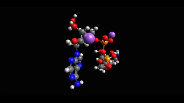 Geanimeerd Skelet Model Van Nicotinamide Dinucleotide Nadh Verminderde Vorm Zwarte — Stockvideo