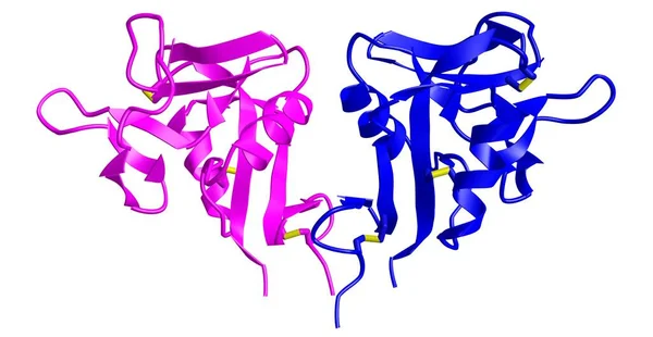 Modelo Desenho Animado Proteína Lectina Tipo Transmembrana Cd69 Humana Fundo — Fotografia de Stock